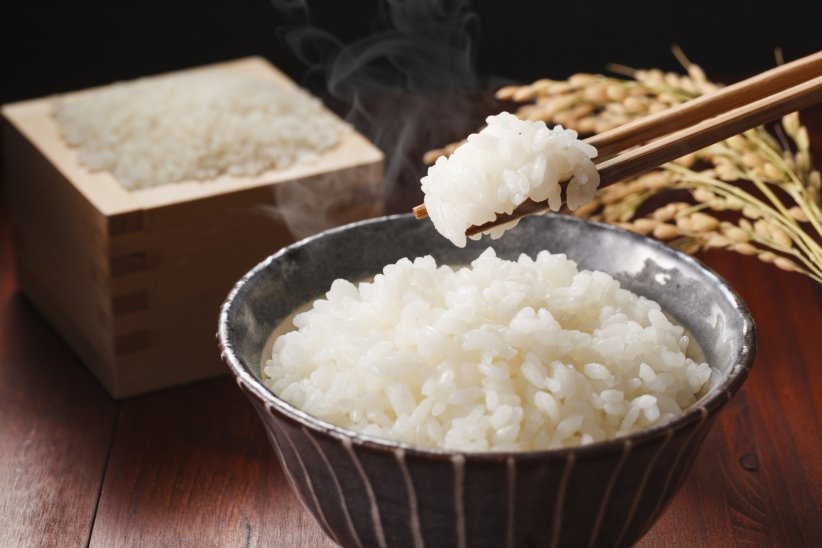 Le riz Le riz