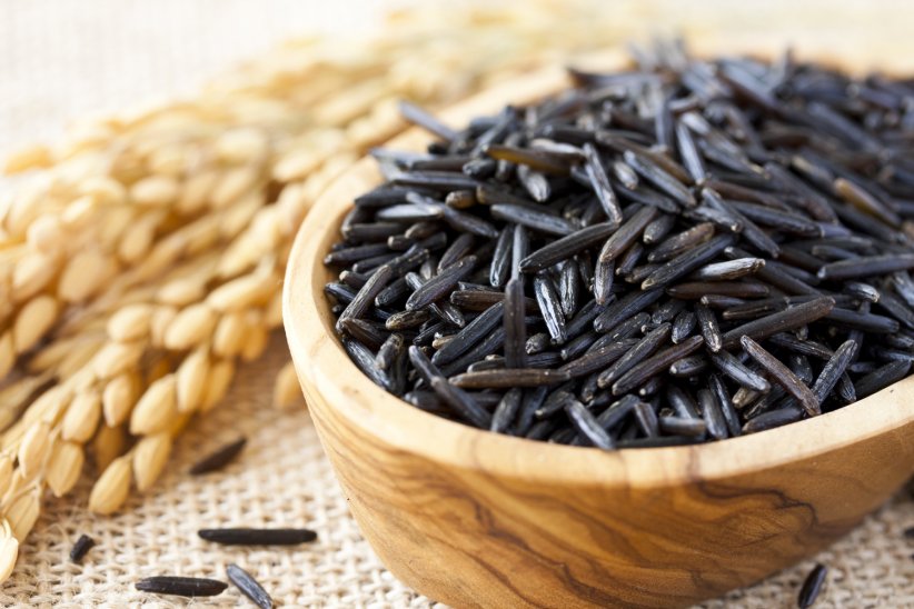 Le riz sauvage Le riz sauvage