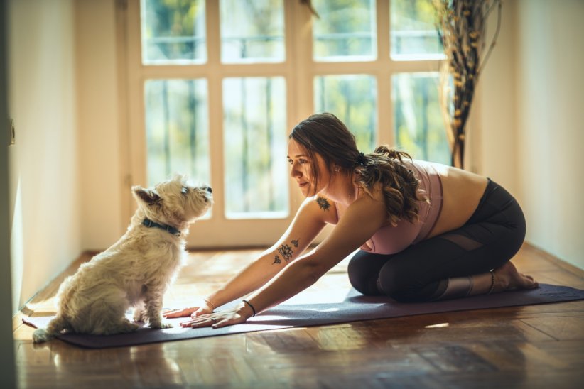Faire du yoga avec son chien Faire du yoga avec son chien