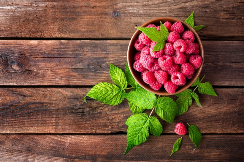 Les feuilles de framboises, souvent négligées Les feuilles de framboises, souvent négligées