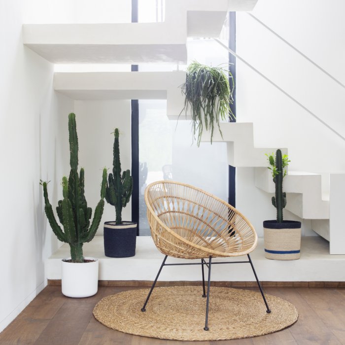 Une chaise en rotin naturel Une chaise en rotin naturel