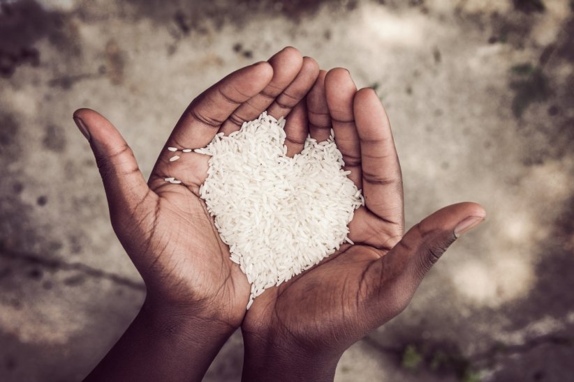 L'écologie n'est pas la seule urgence L'écologie n'est pas la seule urgence