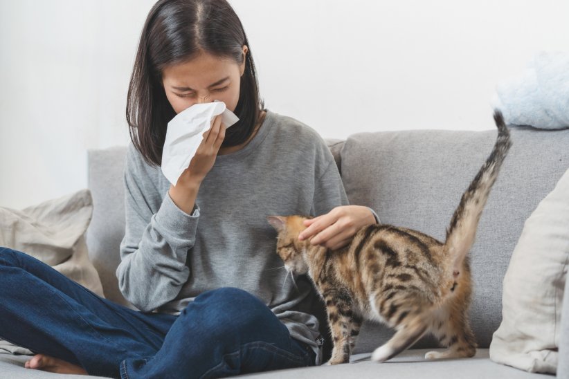 L'allergie aux poils d'animaux L'allergie aux poils d'animaux