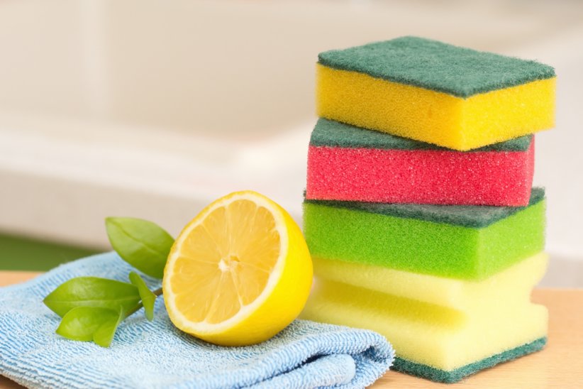 Le citron Le citron