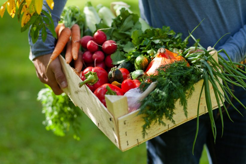 Les bienfaits de manger local Les bienfaits de manger local