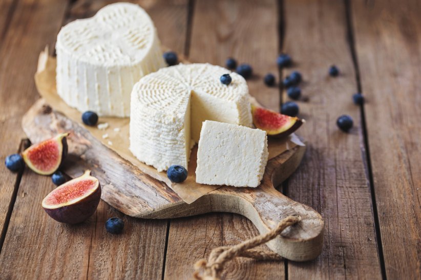 Gouda/emmental VS fromage frais Gouda/emmental VS fromage frais