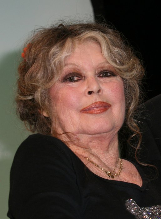 Brigitte Bardot en a "marre" de la politique de Macron Brigitte Bardot en a "marre" de la politique de Macron