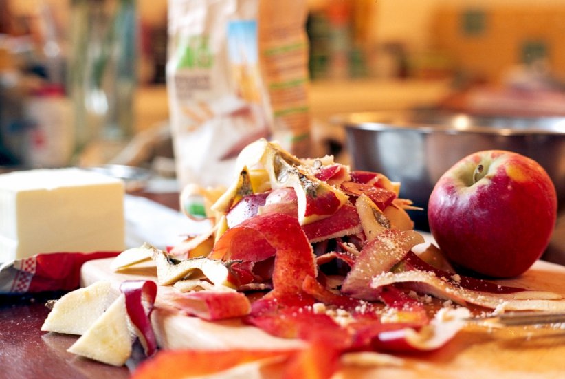 Les épluchures, pelures et déchets de fruits et légumes Les épluchures, pelures et déchets de fruits et légumes