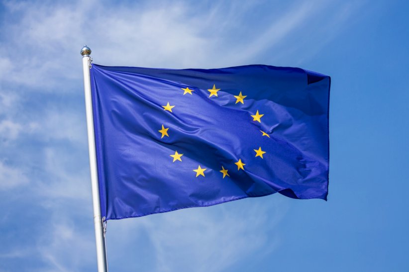 Le drapeau européen : un symbole qui n'est pas exclusif à l'Union européenne Le drapeau européen : un symbole qui n'est pas exclusif à l'Union européenne