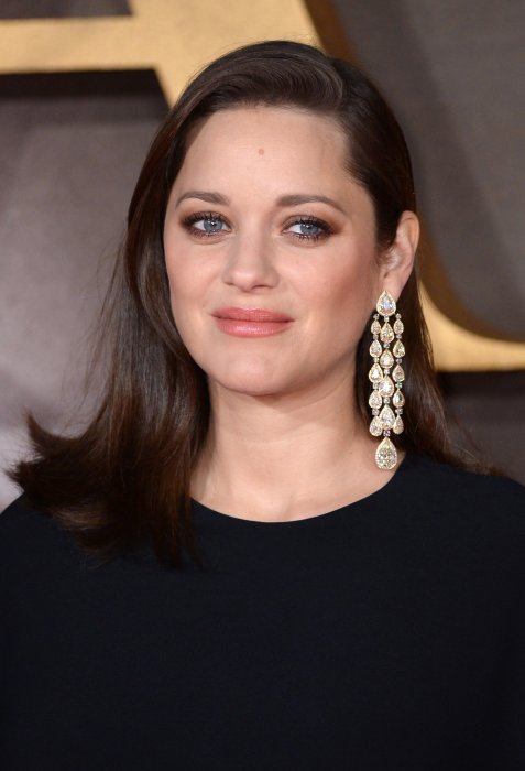 Marion Cotillard avec Brad Pitt au cinéma Marion Cotillard avec Brad Pitt au cinéma