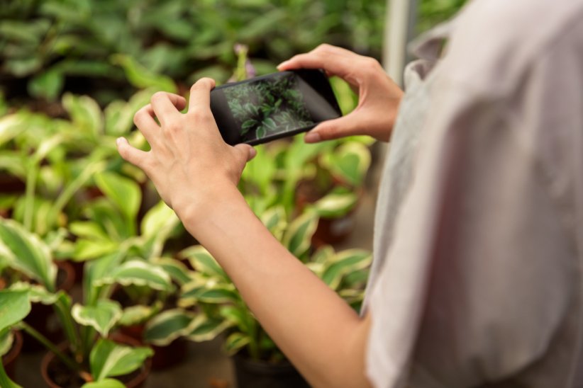 Plantbook : l'appli qui n'oublie pas d'arroser les plantes Plantbook : l'appli qui n'oublie pas d'arroser les plantes