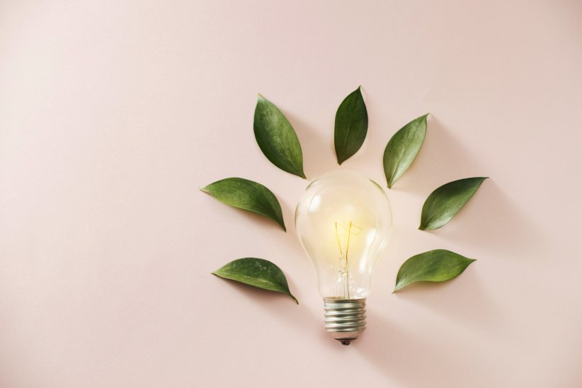 Le développement durable, c'est quoi au juste ? Le développement durable, c'est quoi au juste ?