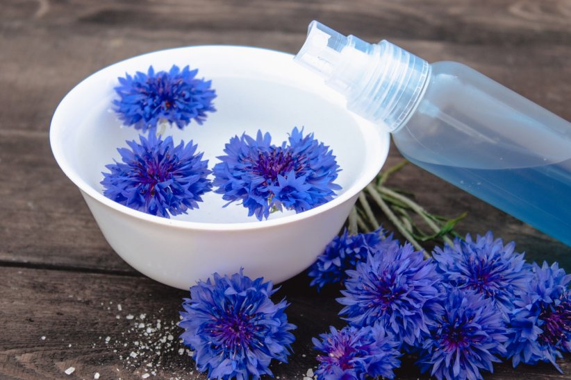 Se passer de l'eau de bleuet sur le visage Se passer de l'eau de bleuet sur le visage
