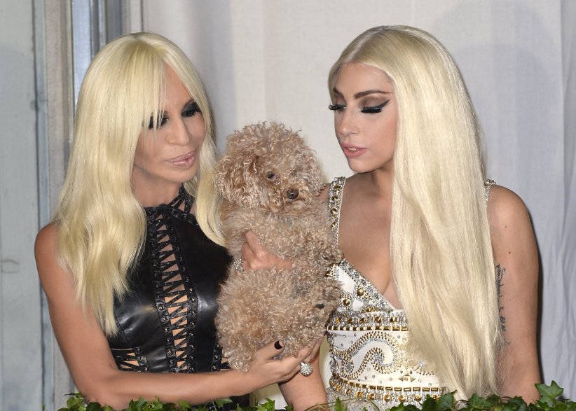 Lady Gaga admire Donatella Versace Lady Gaga admire Donatella Versace