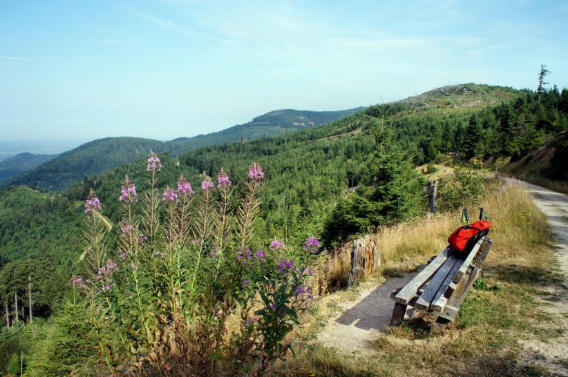 Arpenter le Westweg au cœur de la Forêt Noire Arpenter le Westweg au cœur de la Forêt Noire