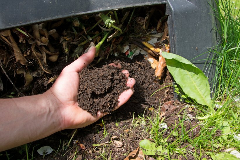 L'utiliser en engrais naturel pour les plantes L'utiliser en engrais naturel pour les plantes