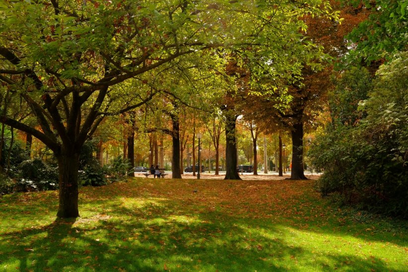 Au Jardin des Champs-Elysées à Paris (75) Au Jardin des Champs-Elysées à Paris (75)