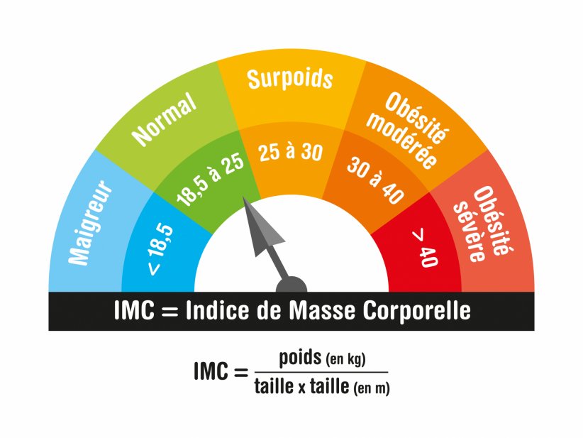 Calculer son IMC pour détecter un surpoids, une obésité ou une maigreur Calculer son IMC pour détecter un surpoids, une obésité ou une maigreur