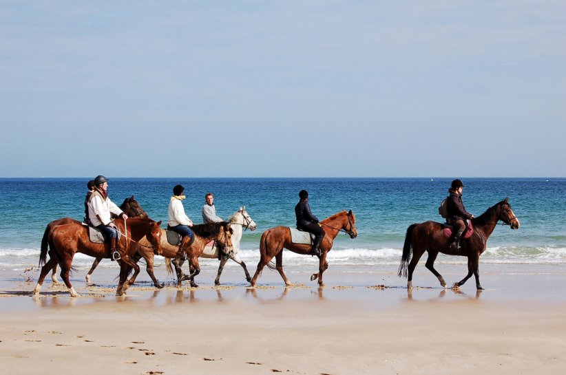 La randonnée à cheval La randonnée à cheval