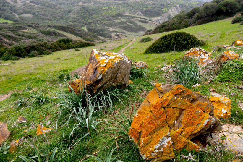 Le Camì de Cavalls à Minorque : à la rencontre de l'île sauvage Le Camì de Cavalls à Minorque : à la rencontre de l'île sauvage