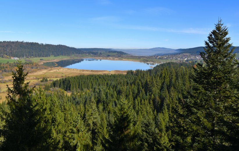 La réserve naturelle du lac de Remoray La réserve naturelle du lac de Remoray