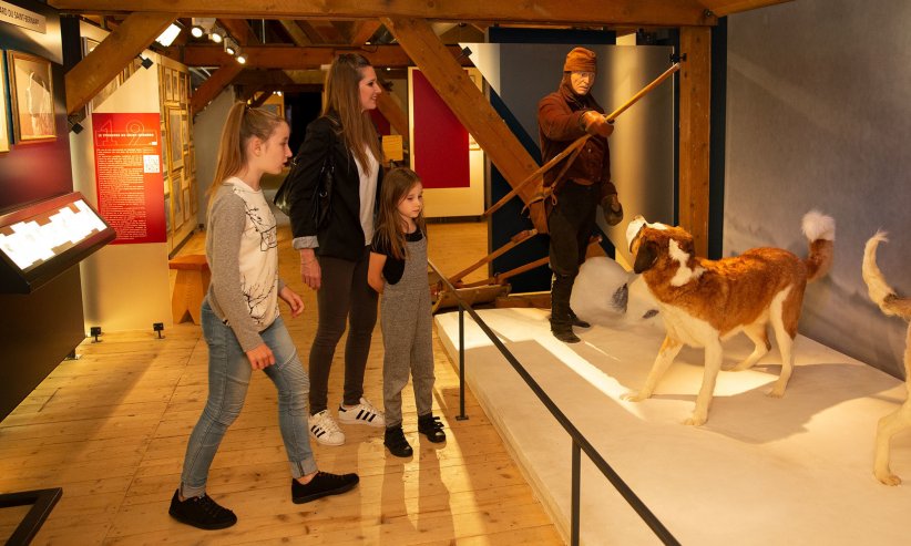 Barryland, le musée des Saint-Bernard à Martigny (Suisse) Barryland, le musée des Saint-Bernard à Martigny (Suisse)