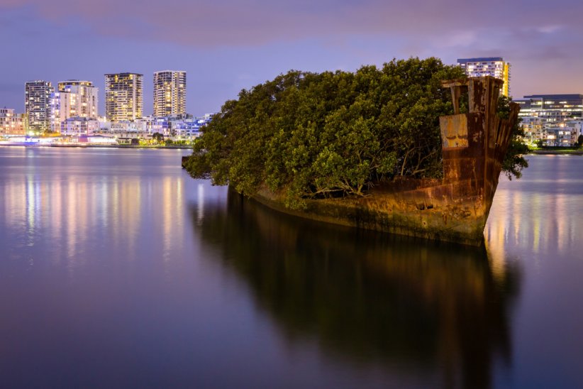 La forêt flottante de Homebush Bay en Australie La forêt flottante de Homebush Bay en Australie