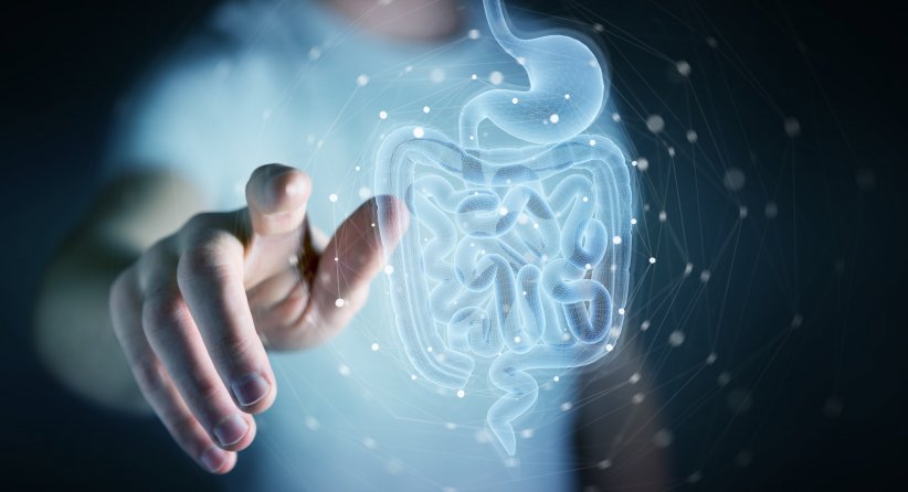 La maladie de Crohn est liée à une hyperactivité du système immunitaire digestif La maladie de Crohn est liée à une hyperactivité du système immunitaire digestif