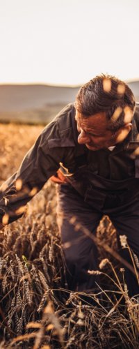 Qui sont les agriculteurs français d'aujourd'hui ?