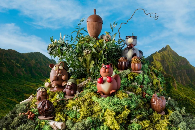 Des chocolats encore et toujours Des chocolats encore et toujours