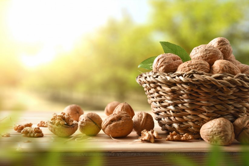Les noix, pour favoriser le transit intestinal Les noix, pour favoriser le transit intestinal