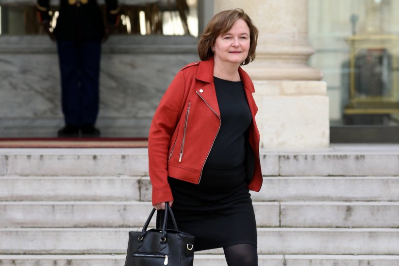 Nahalie Loiseau renonce à la présidence des Libéraux au Parlement Européen Nahalie Loiseau renonce à la présidence des Libéraux au Parlement Européen