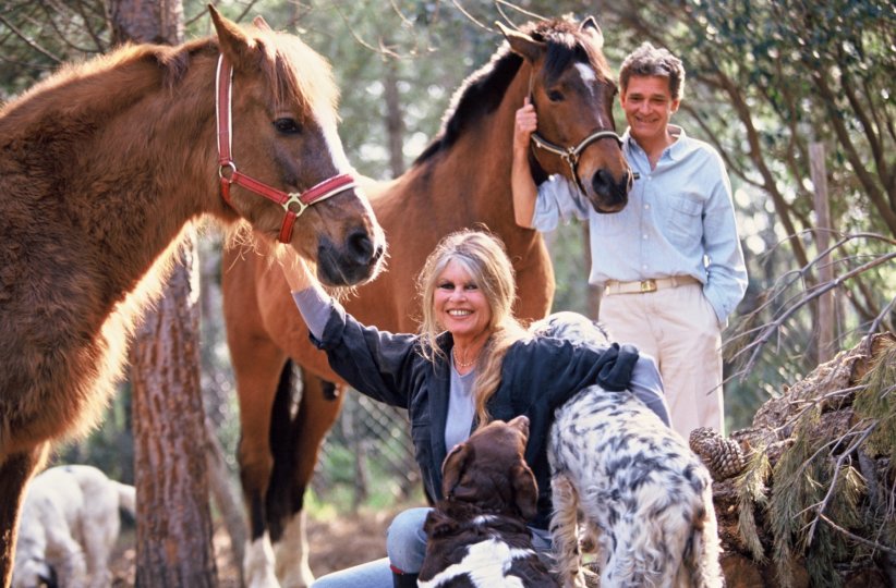 Brigitte Bardot : 12 chiens, 25 chats... Brigitte Bardot : 12 chiens, 25 chats...