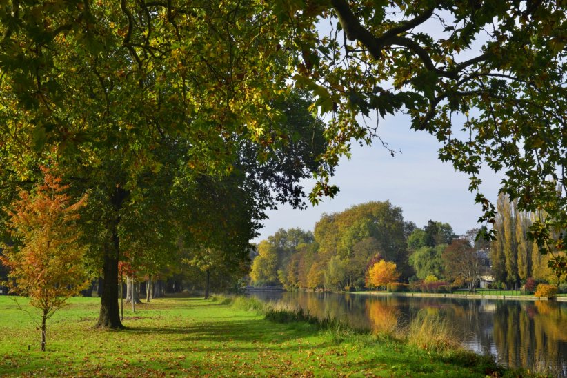 La forêt de Chantilly La forêt de Chantilly