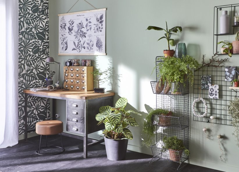Des plantes pour s'évader Des plantes pour s'évader
