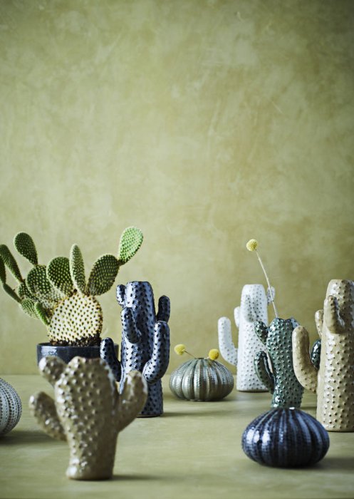 Dans la vie, il y a des cactus ! Dans la vie, il y a des cactus !