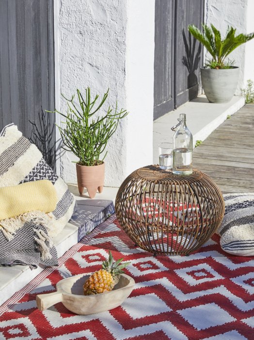 Un tapis pour lézarder Un tapis pour lézarder