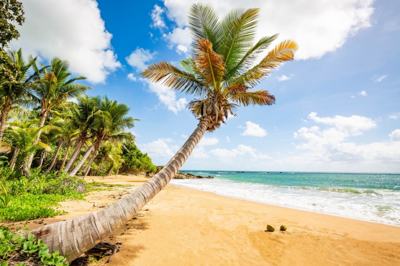 Flamenco Beach, à Porto-Rico Flamenco Beach, à Porto-Rico