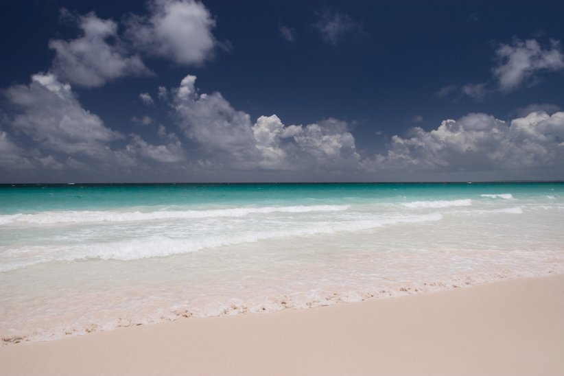 Pink Sands Beach, à Harbour Island Pink Sands Beach, à Harbour Island