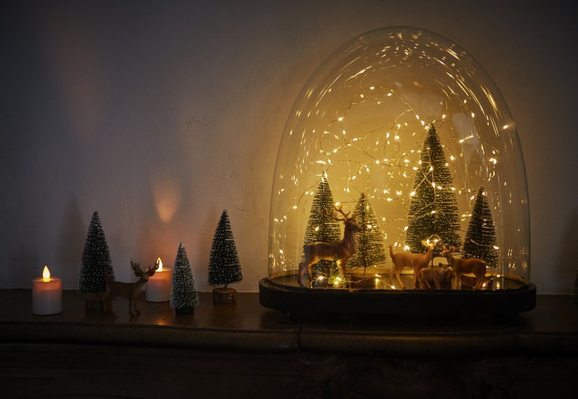 Une véritable forêt de Noel dans votre salon Une véritable forêt de Noel dans votre salon