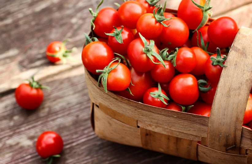 Les tomates Les tomates
