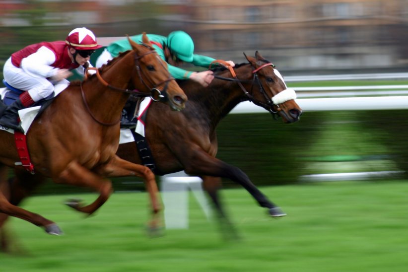 Hippodromes de la Côte Fleurie : un aperçu de la Normandie équestre Hippodromes de la Côte Fleurie : un aperçu de la Normandie équestre
