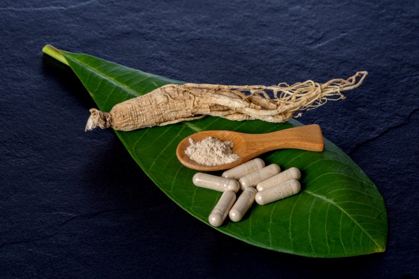 Le ginseng : pour donner un coup de boost à son corps Le ginseng : pour donner un coup de boost à son corps