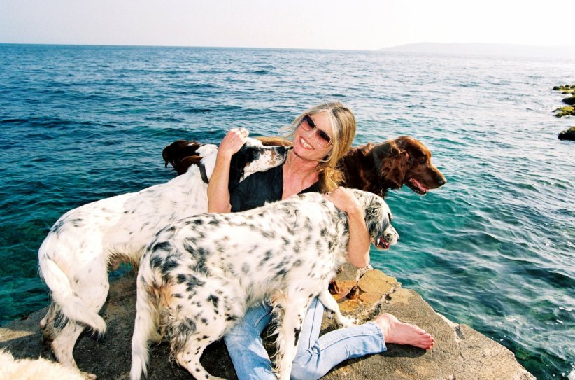 Brigitte Bardot : des lettres ouvertes pour faire changer les choses Brigitte Bardot : des lettres ouvertes pour faire changer les choses