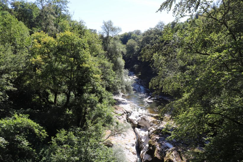 Les gorges du Fier Les gorges du Fier