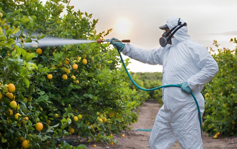 Cela aide à réduire l'utilisation des pesticides Cela aide à réduire l'utilisation des pesticides