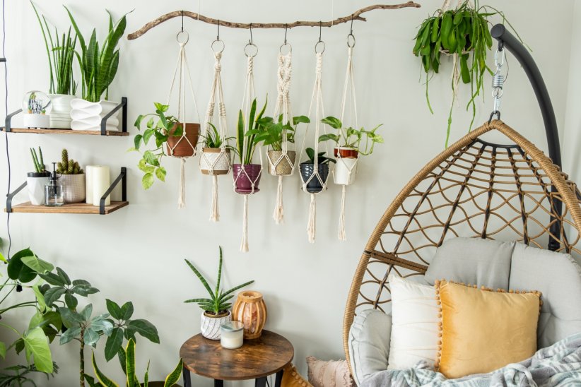 Un jardin suspendu Un jardin suspendu