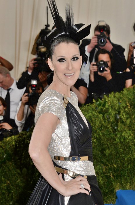 Céline Dion : ses adieux à Las Vegas Céline Dion : ses adieux à Las Vegas