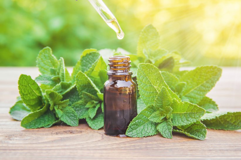 Utiliser l'huile essentielle de menthe poivrée Utiliser l'huile essentielle de menthe poivrée
