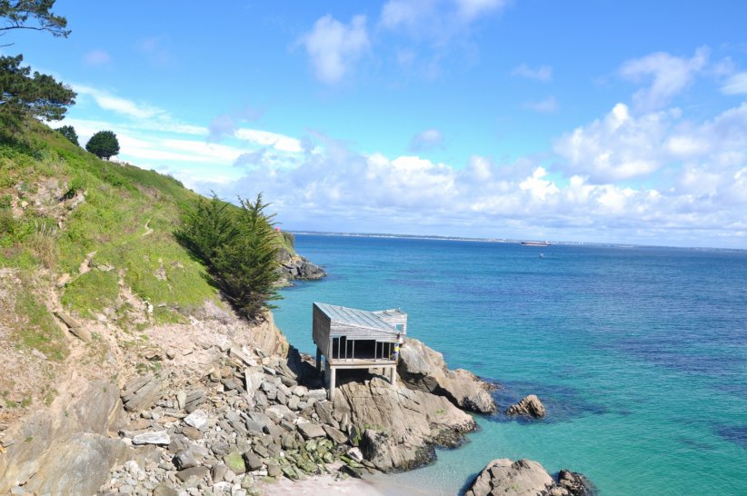 L'île de Groix, sa faune, sa flore et ses épaves L'île de Groix, sa faune, sa flore et ses épaves